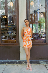 Vallarta Dress